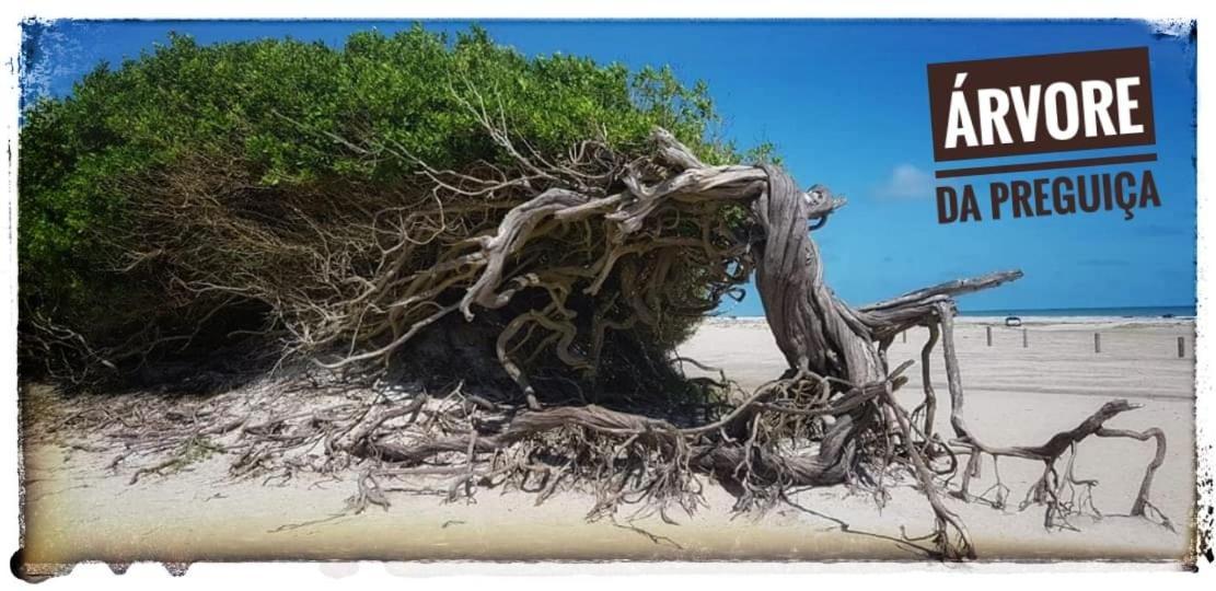 Вилла Casa A 3 Minutos Do Aeroporto De Jericoacoara Экстерьер фото